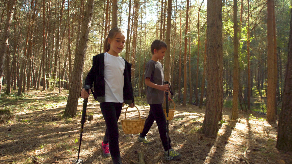 micologia-setas-hongos-covaleda-soria-006